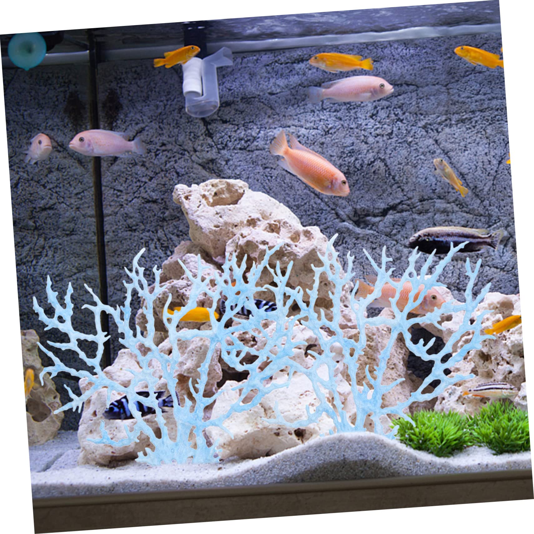 Amazon.co.jp: NESTINGHO 1個 人工 珊瑚 ブルーコーラル 水槽のサンゴ